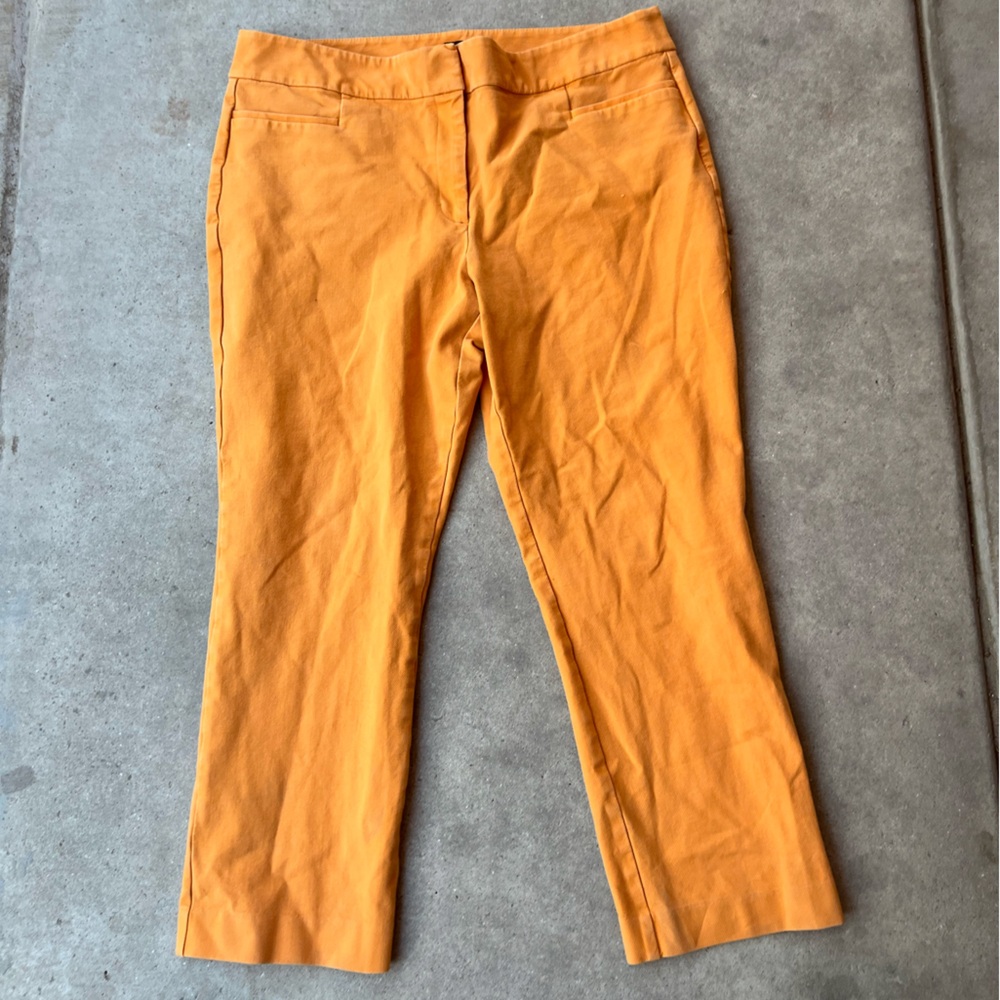 Ann Taylor factory womens Elegant Orange Women's business dress Pants Sz 14